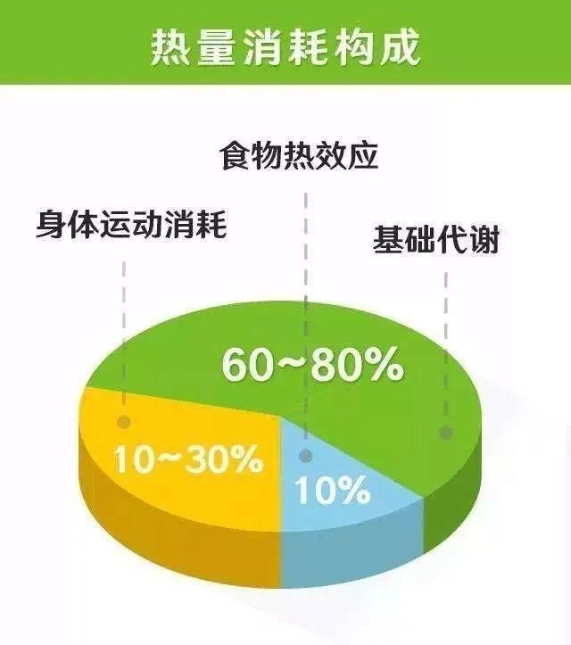 营养师建议，减肥不能急于求成，不要盲目相信攻略