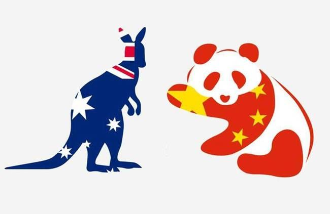 《山水与熊猫》何以产生独特国际影响？专访澳大利亚华人艺术家张鸿俊