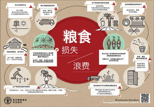 全国政策性粮食承储库点货位数量信息一目了然(图1)