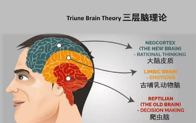 外媒：脑机接口不透明遭质疑不是重大创新之举