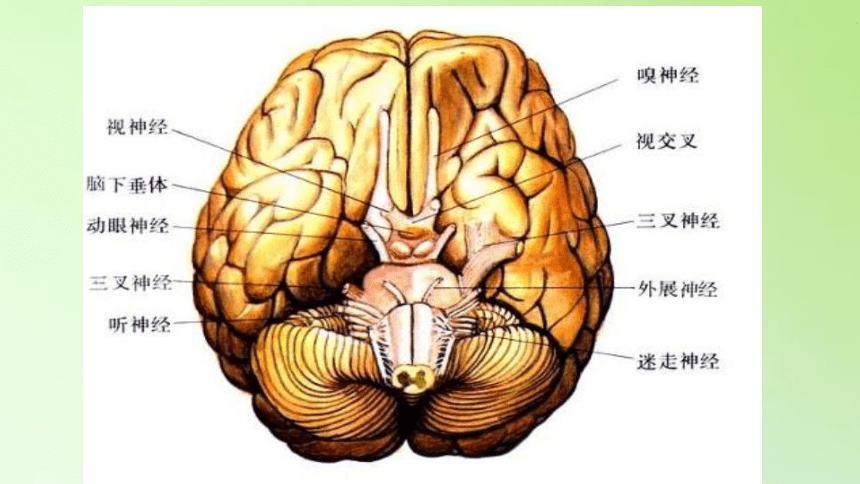 外媒：脑机接口不透明遭质疑不是重大创新之举(图2)