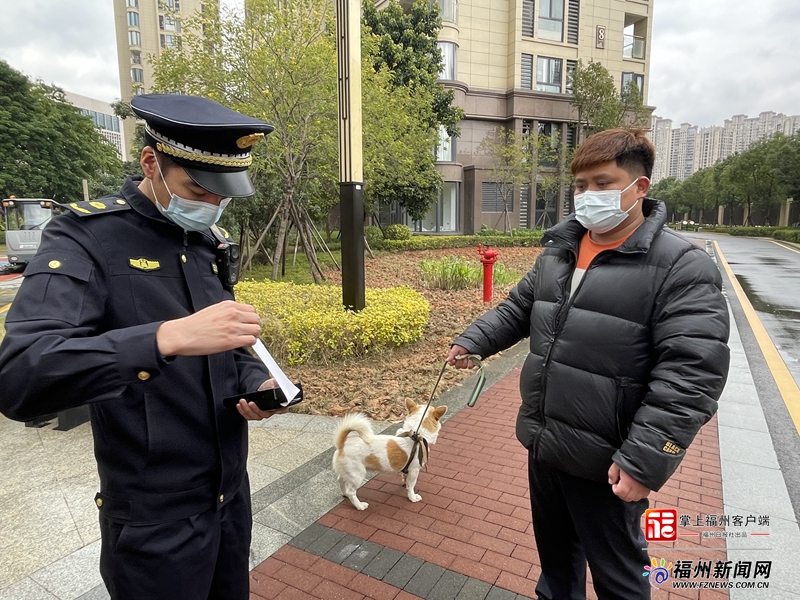 执法行动已开始！福州养犬人注意(图1)