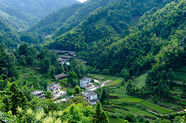 湖南益阳市赫山区华林村:打造美丽乡村示范村(图2)