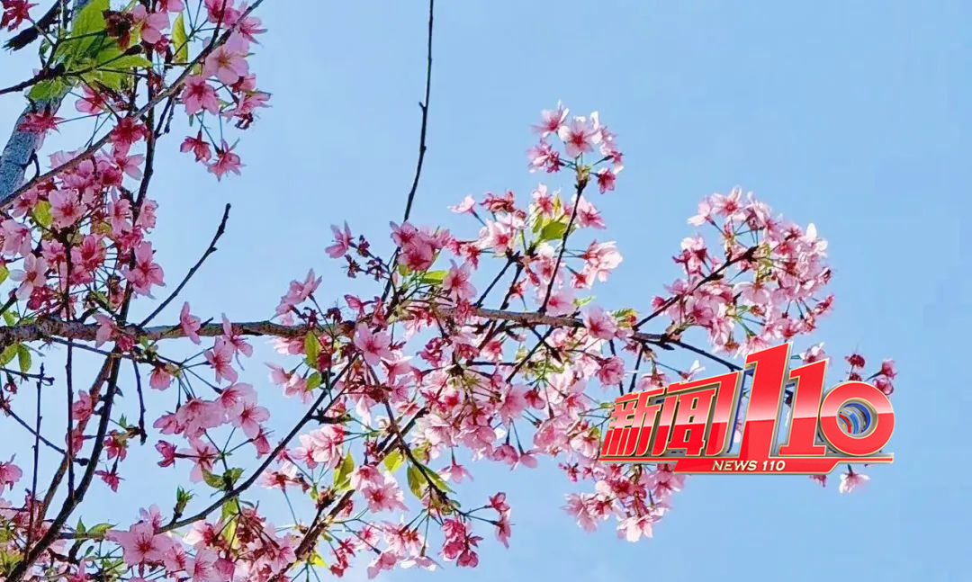刚刚确认：明天福州又要开始！更扎心的在后面……