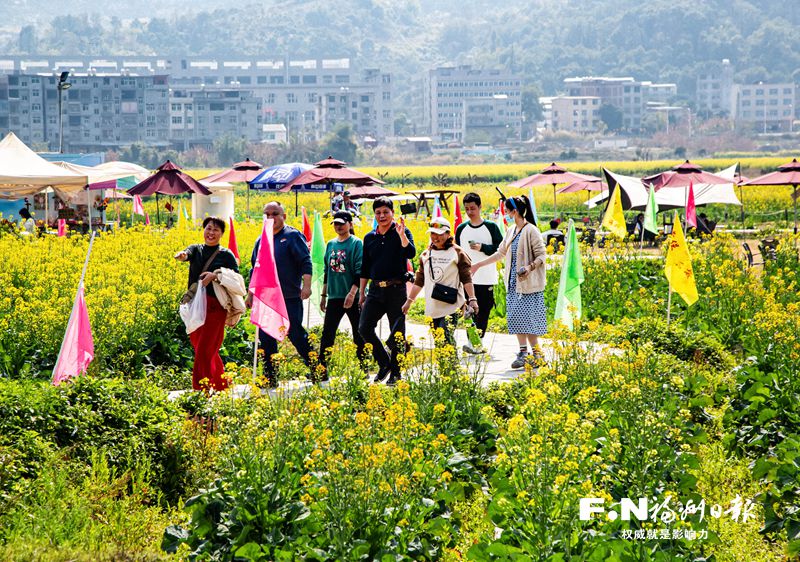 闽侯鸿尾赏花经济渐入佳境 五彩油菜花扮靓乡村全面振兴路