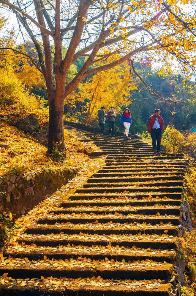 春日催生“徒步热”年轻人热衷“小众”目的地