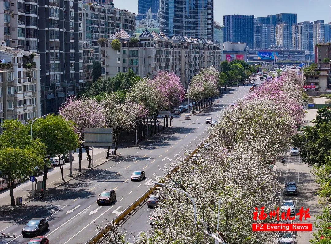 刷屏！福州多地已出现！(图18)