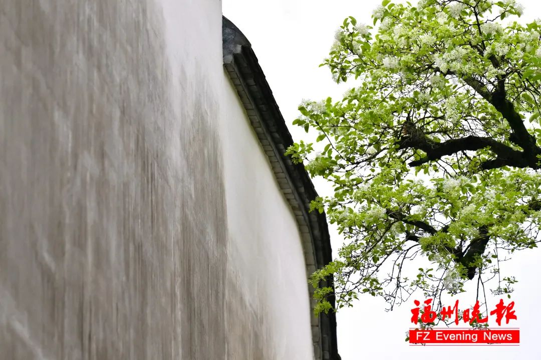 惊艳！就在福州三坊七巷！错过要等一整年！(图4)