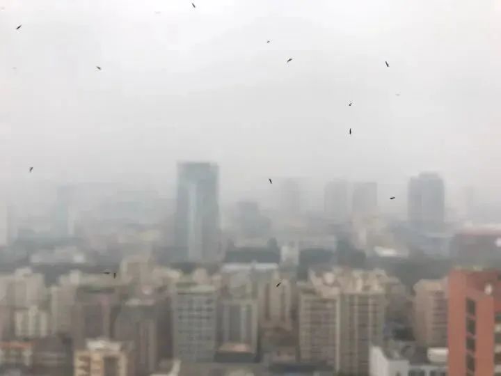 紧急提醒！福州人最近少穿黄、绿色衣服出门！
