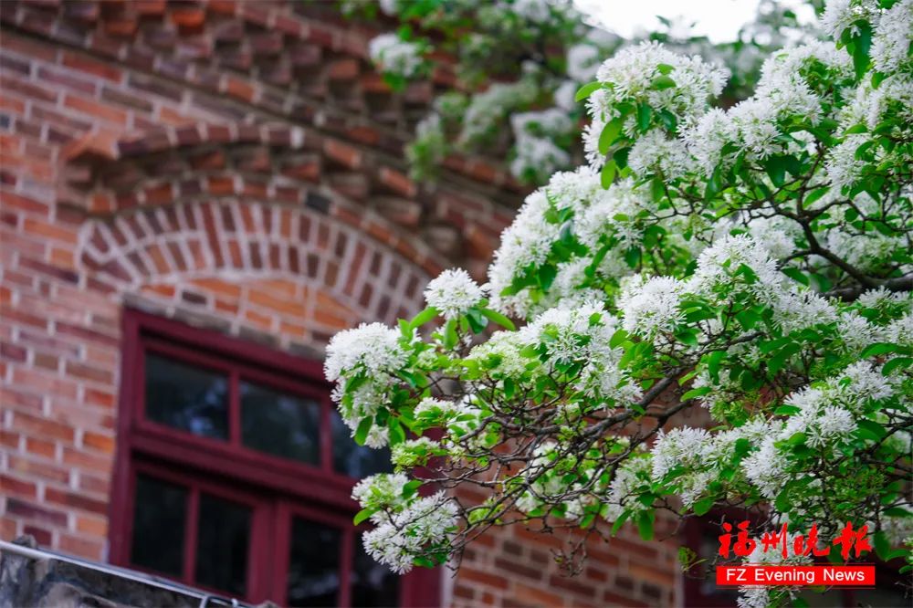 大雨！暴雨！强对流！已抵达福建！(图10)