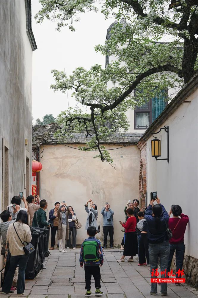 大雨！暴雨！强对流！已抵达福建！(图11)