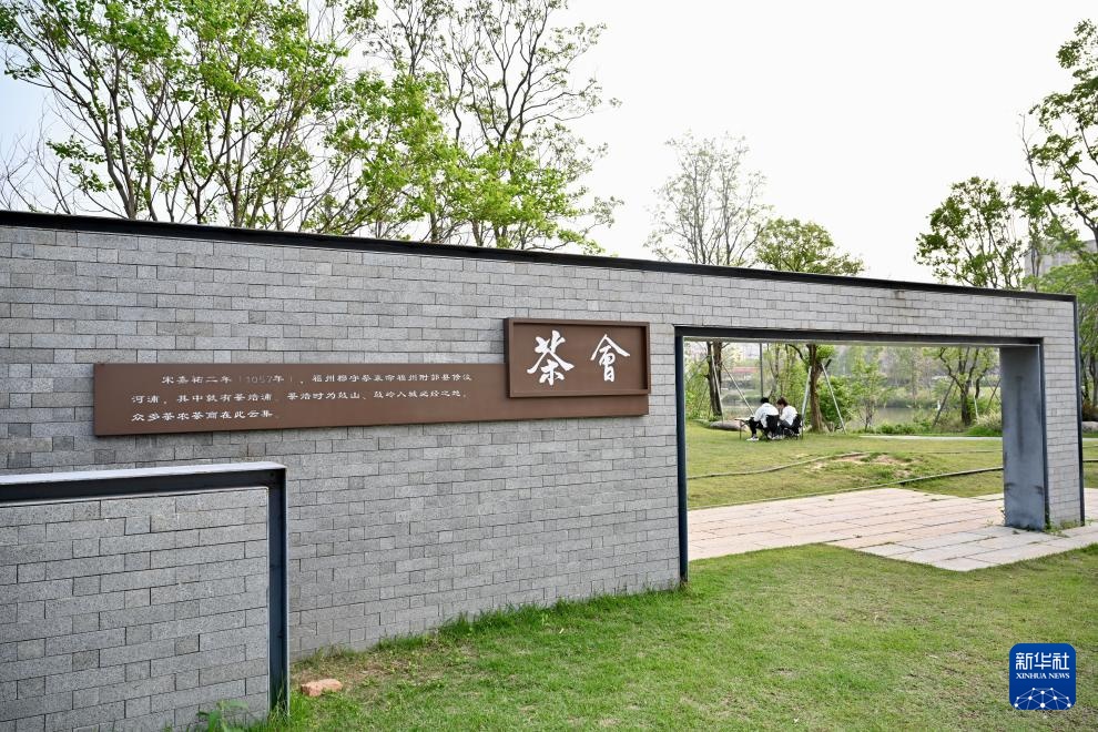 图片故事丨茶文化的新“国潮”