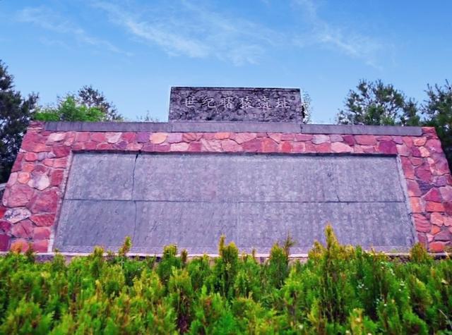 单霁翔:不了解考古遗址面貌就不会珍惜上面搭棚建屋