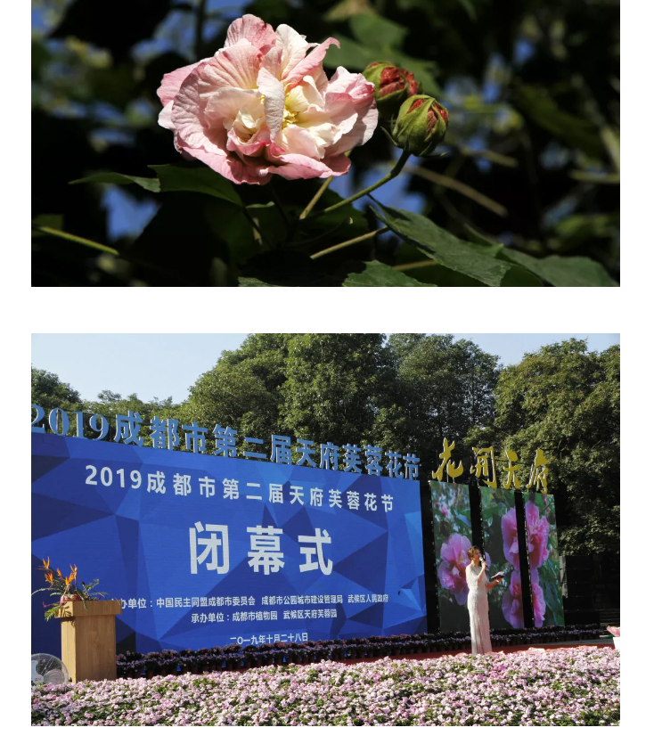 万千入园折射中国生态文明建设成就举世瞩目
