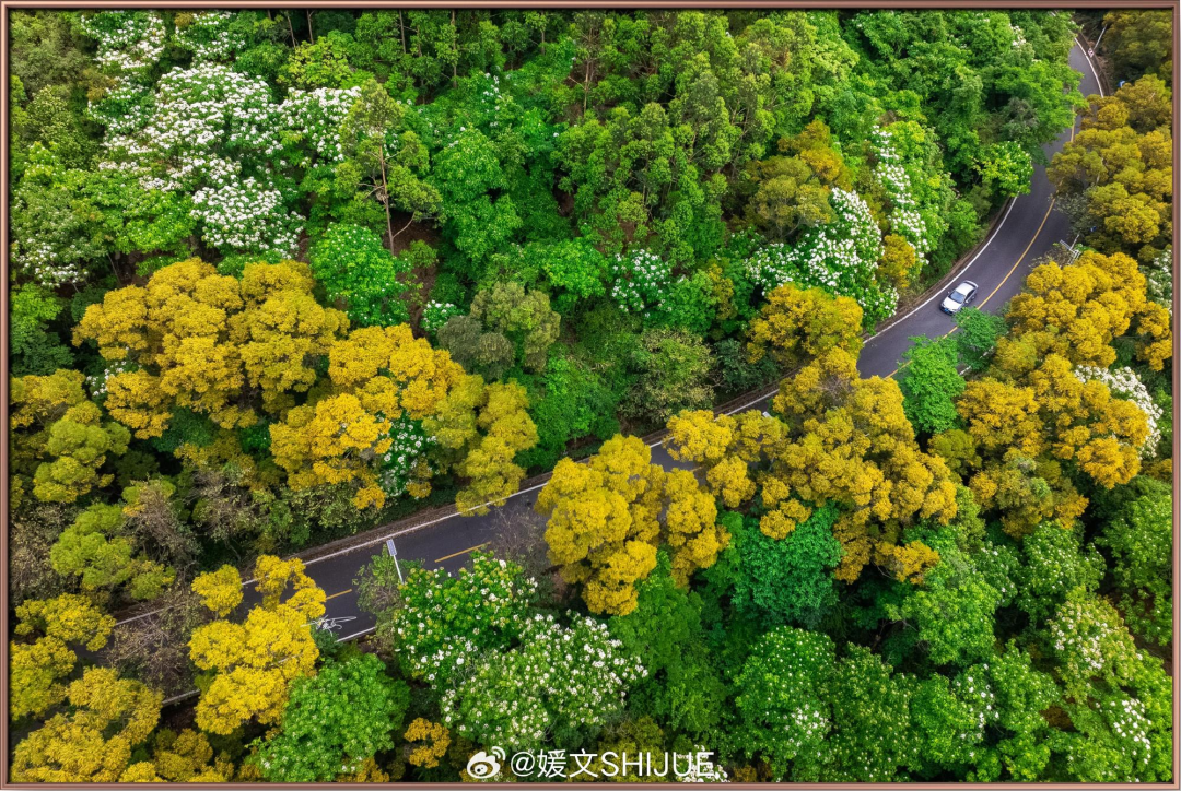 来福州看周杰伦演唱会！游玩攻略请收好！(图22)