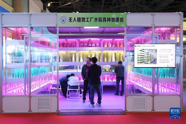 兴安盟扎赉特旗:引进新技术,助力水稻产业发展