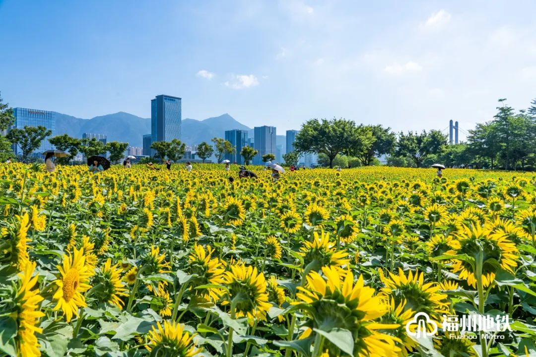 太有趣！福州地铁会合点上新！你最喜欢哪个？(图9)