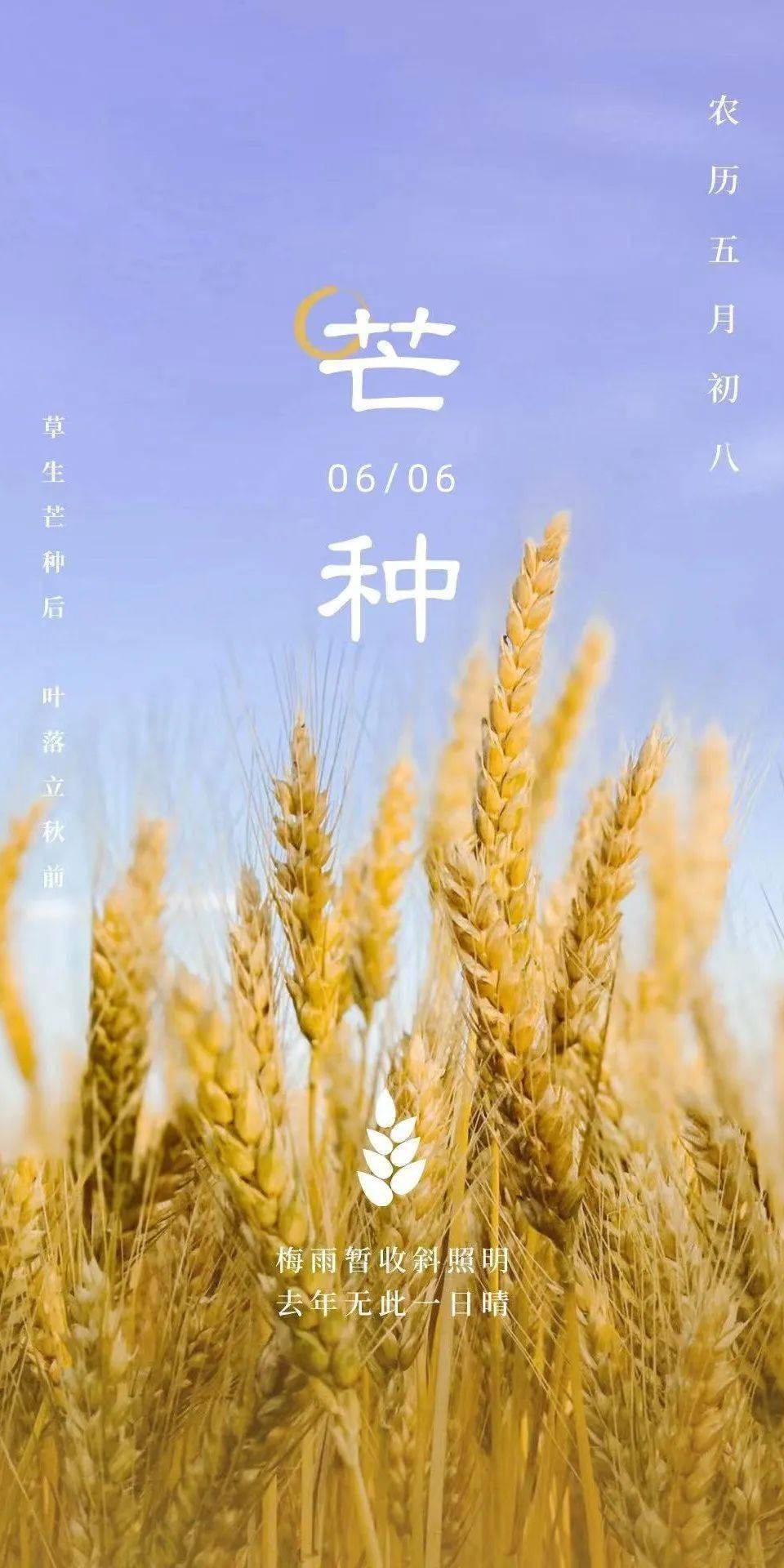 芒种：农事繁忙，勿过天时，以成丰年