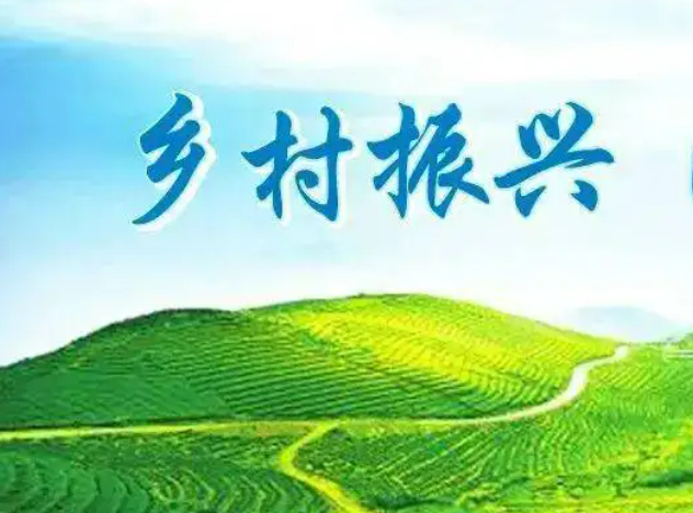万企兴万村行动：助力乡村全面振兴，民营企业贡献更大力量(图2)