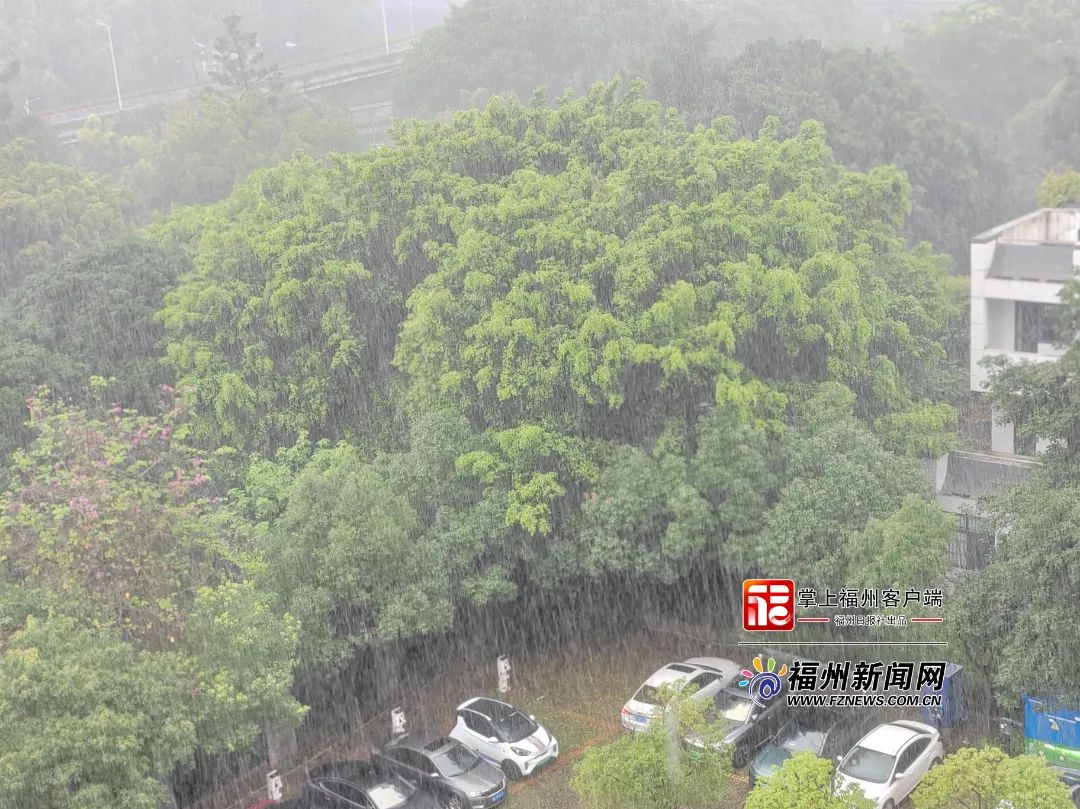 “下班雨”又来了！福建暴雨警报持续！未来七天雨雨雨！