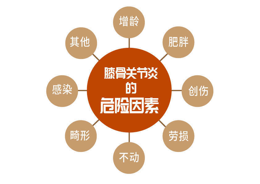 膝关节易损伤，各年龄段保护侧重不同，18 岁以下人群运动需注意(图2)