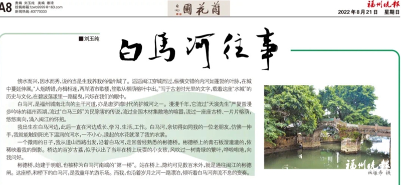 福州晚报专栏作家徐则臣散文《放牛记》成全国高考试题(图4)