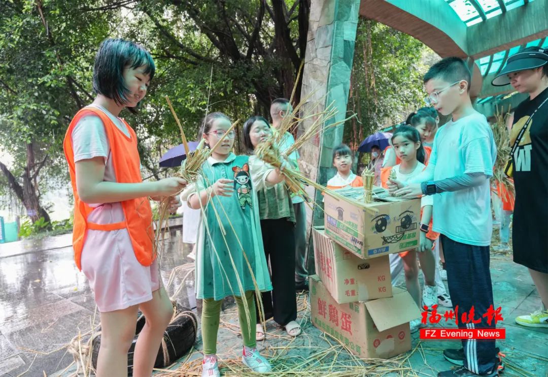 太可爱了！福州“四胞胎”首次亮相！(图9)